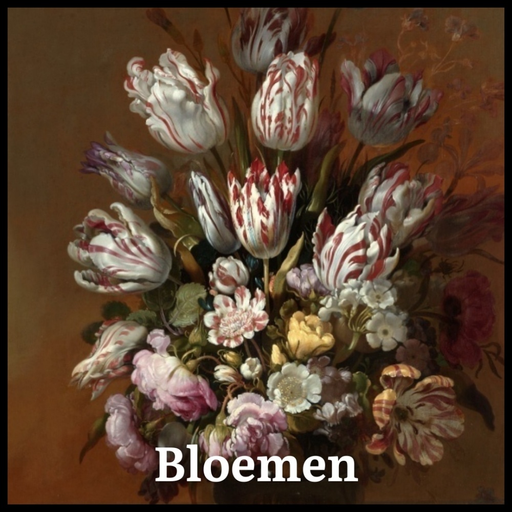 Bloemen subcategorie - Stilleven met bloemen