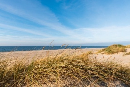Nordic dunes 1
