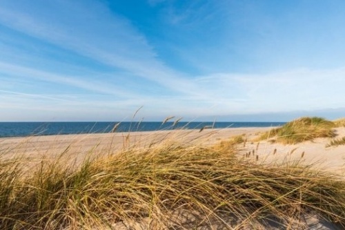 Nordic dunes