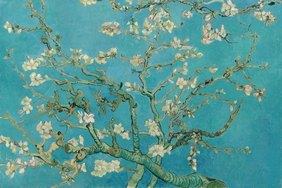 Hoofdafbeelding Amandelbloesem - Vincent van Gogh