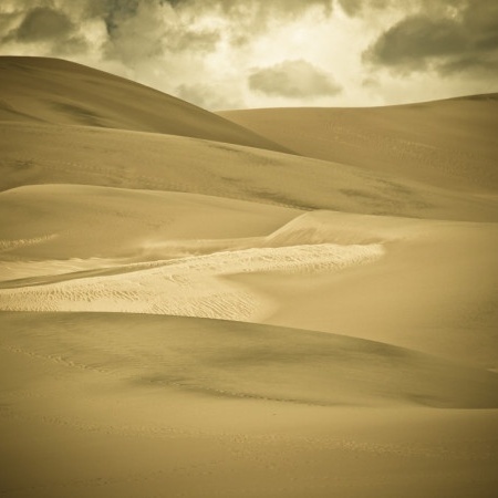 Sandy Sahara 1