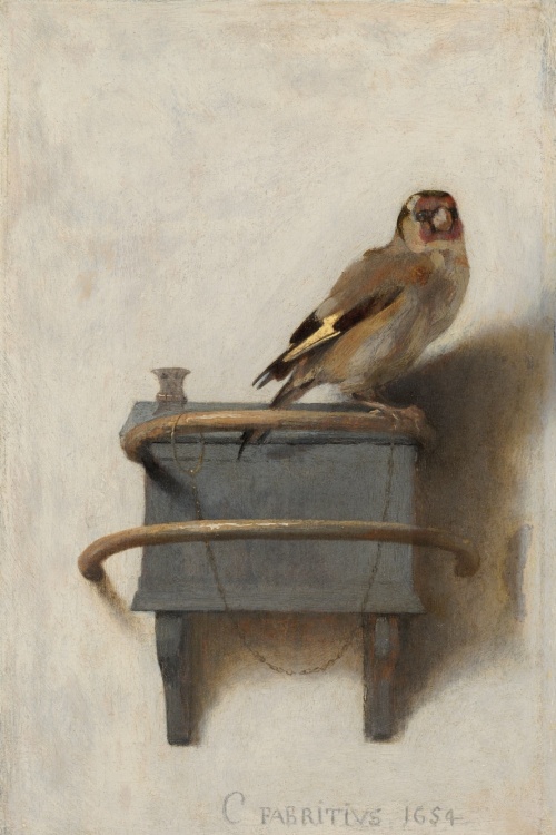 Het Puttertje - Carel Fabritius