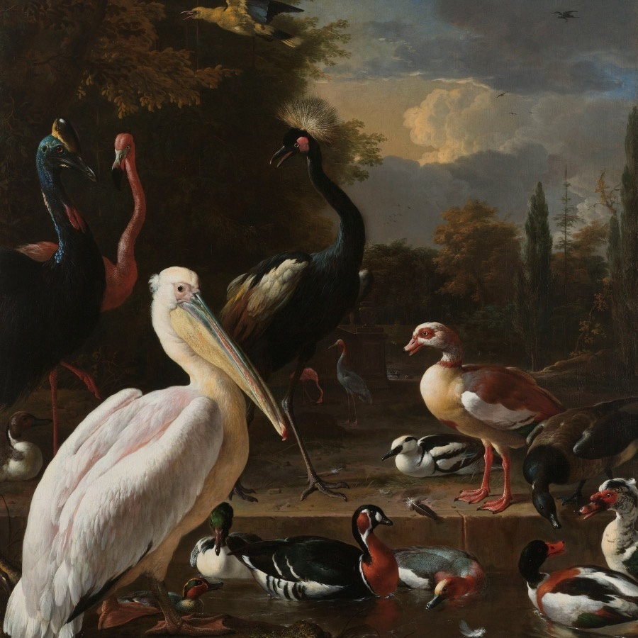Het drijvend veertje, een pelikaan en ander gevogelte - Melchior d' Hondecoeter 1