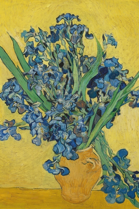 Hoofdafbeelding Irissen in gele vaas - Vincent van Gogh