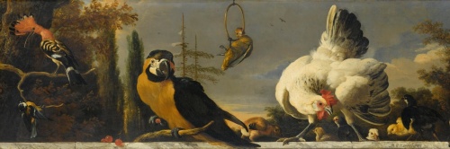 Vogels op een balustrade - Melchior d' Hondecoeter